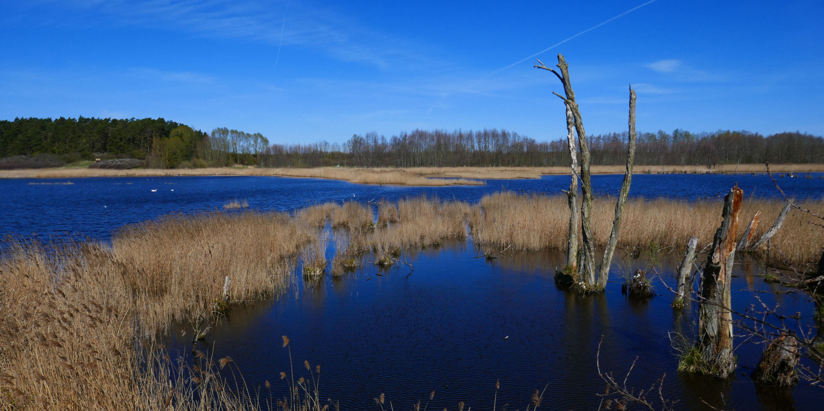 Landschaft im Anklamer Stadtbruch